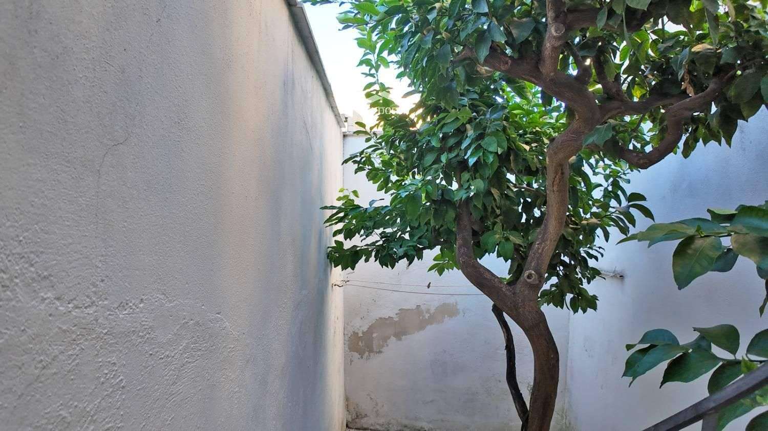  - foto 22