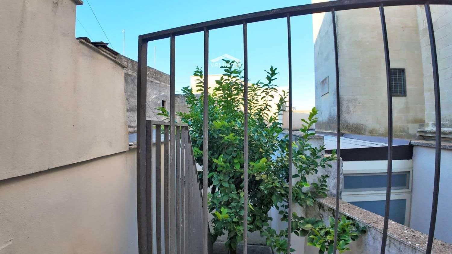  - foto 23