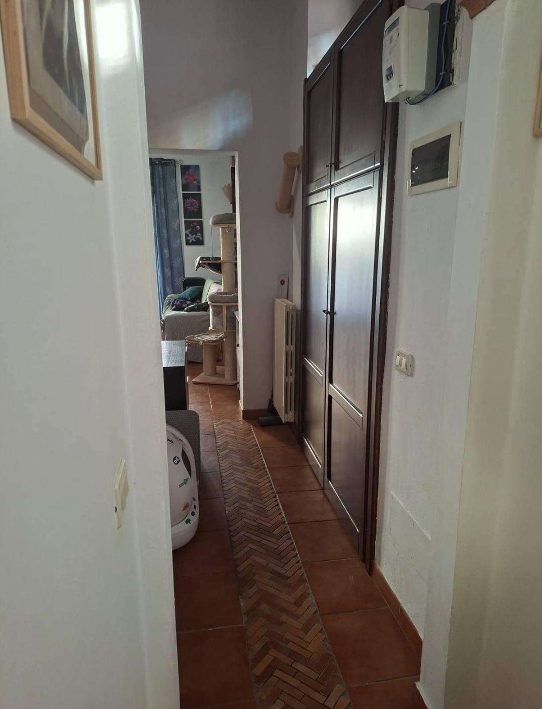  - foto 14