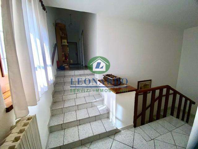  - foto 30