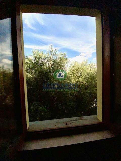  - foto 31