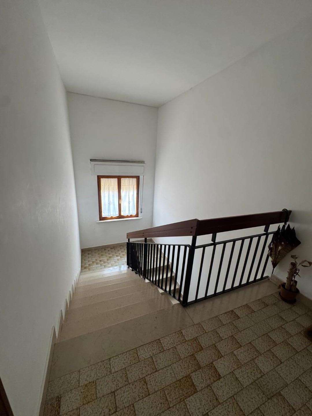  - foto 21