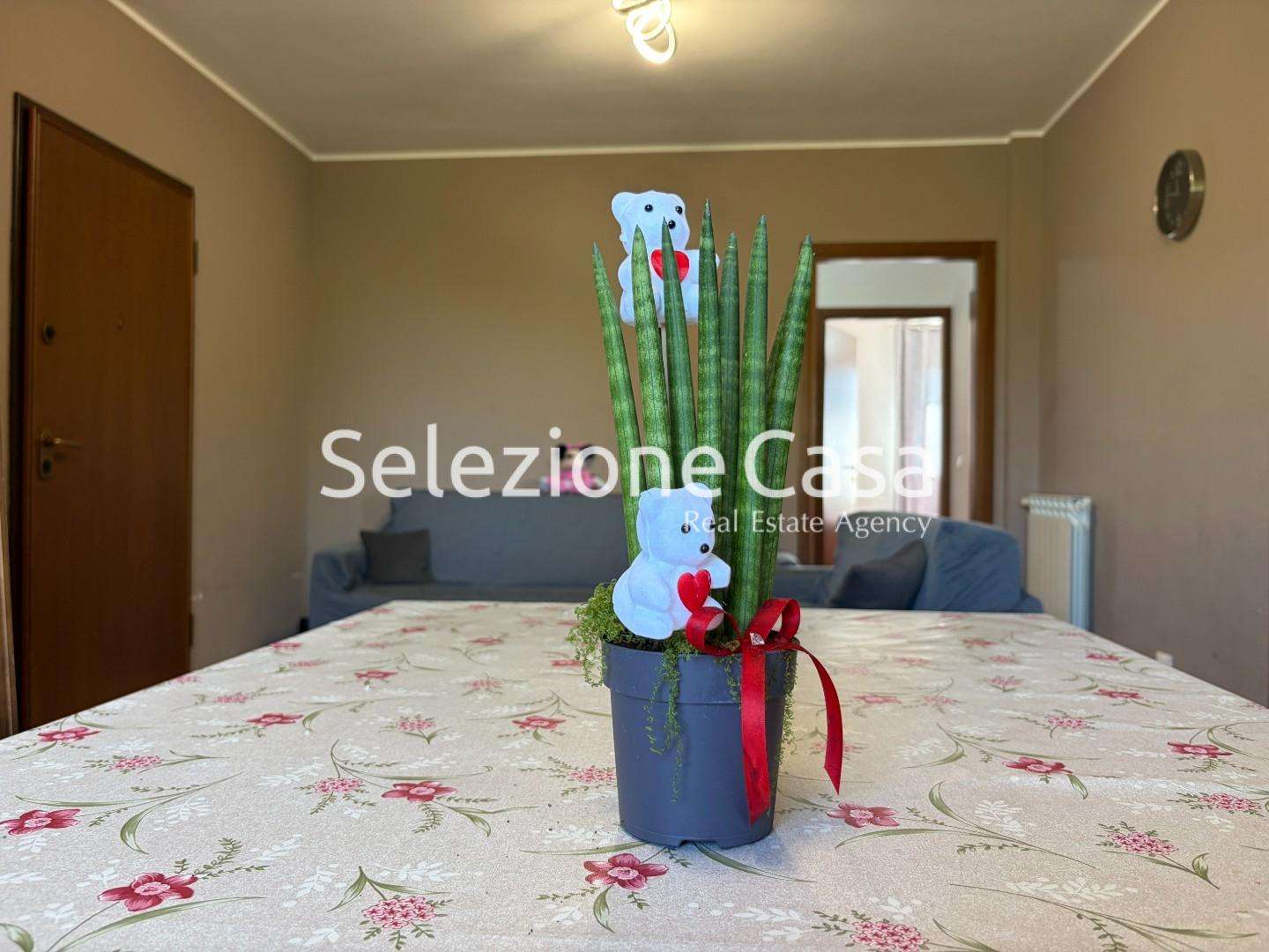  - foto 3