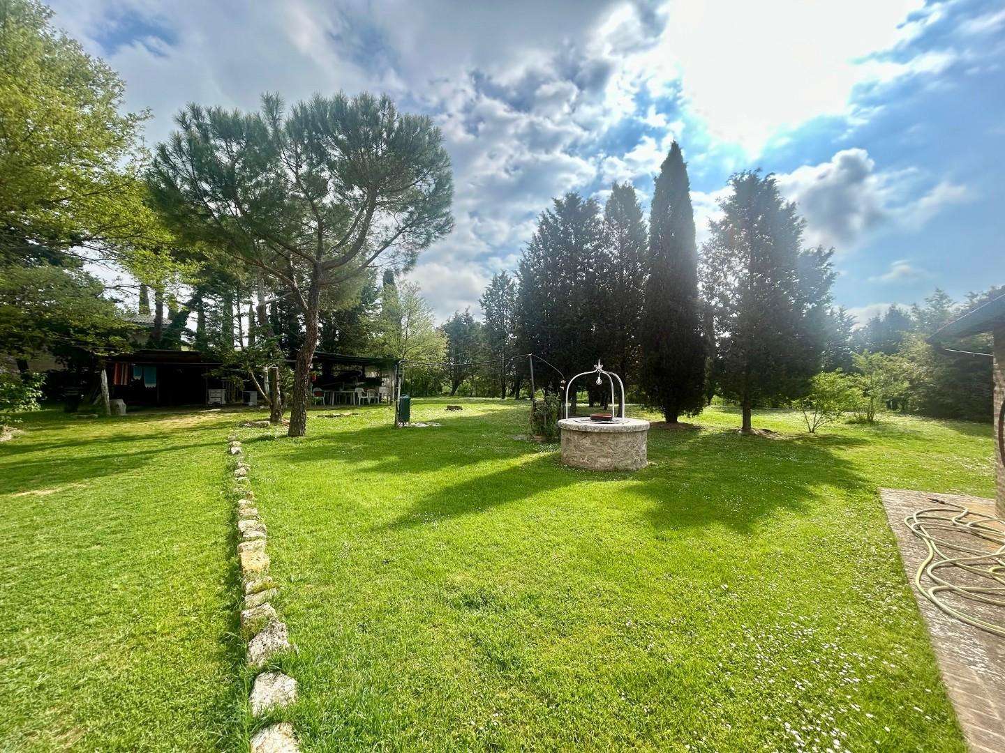  - foto 11