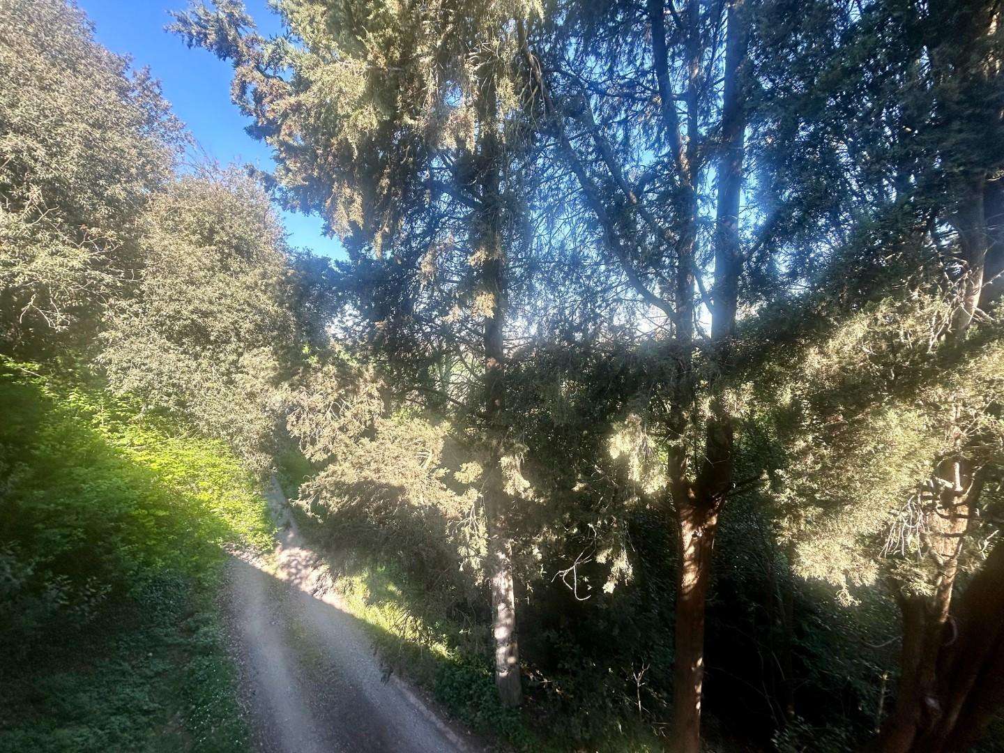  - foto 19