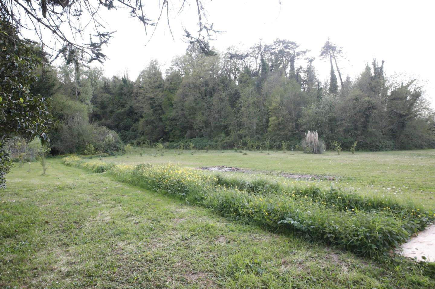  - foto 38
