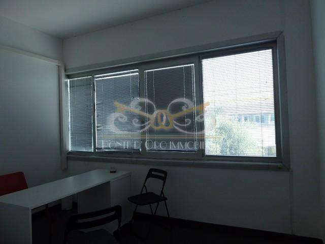  - foto 12