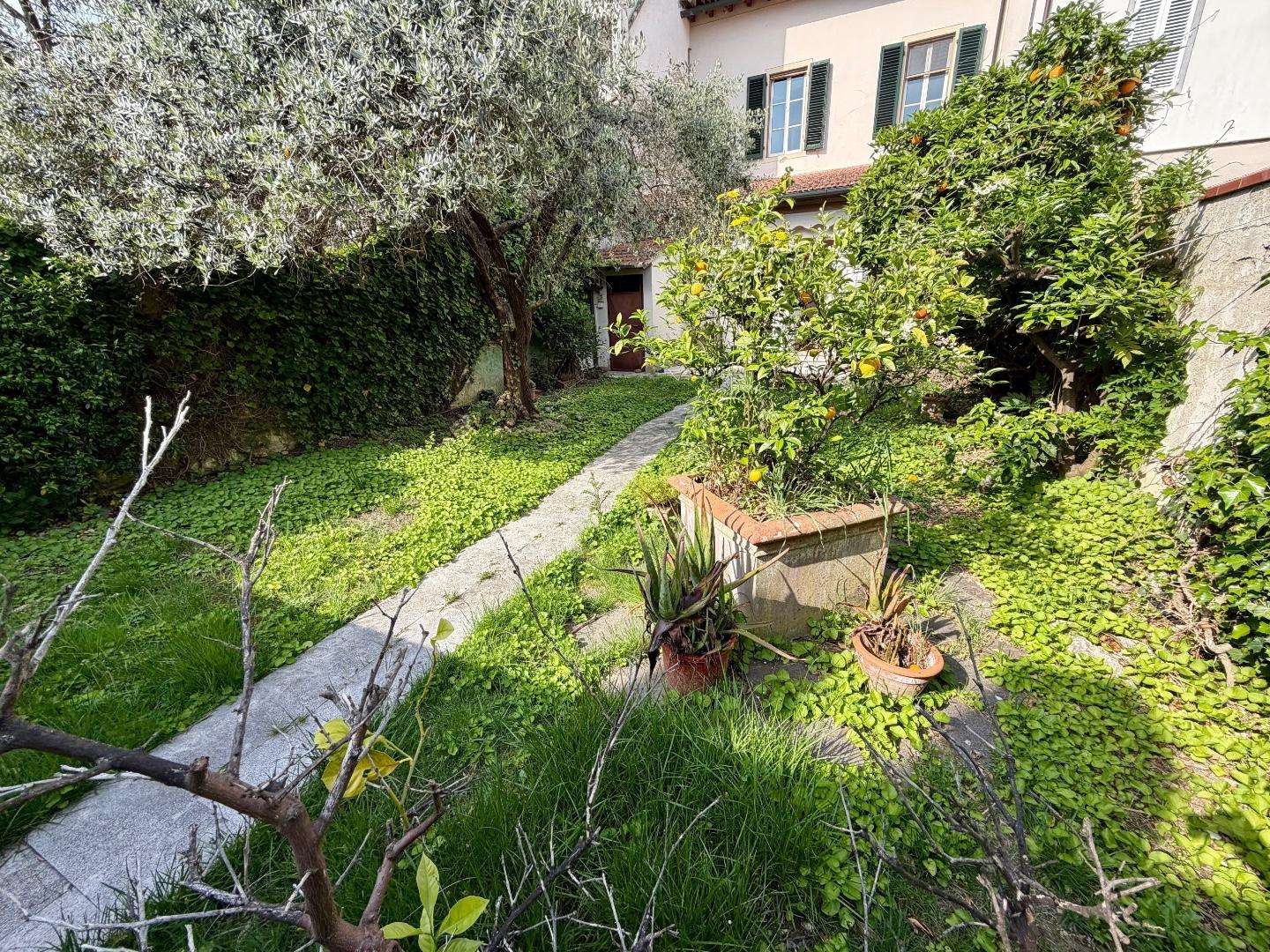  - foto 30