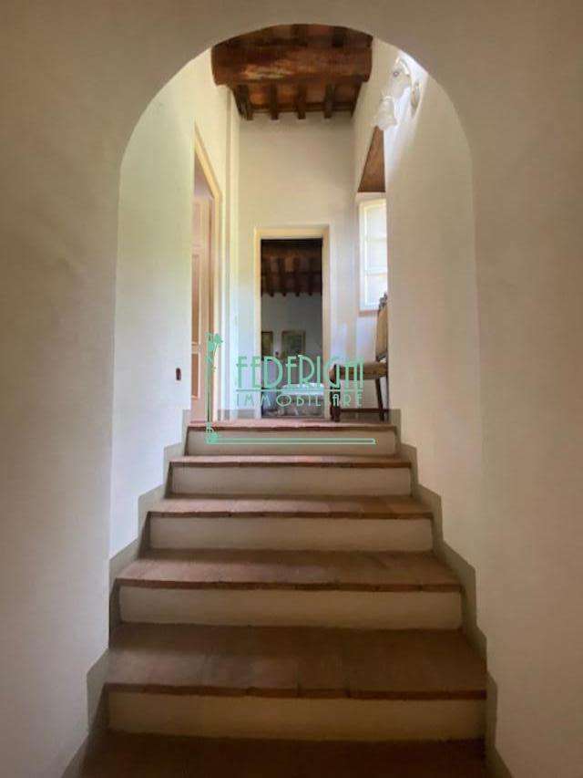  - foto 19