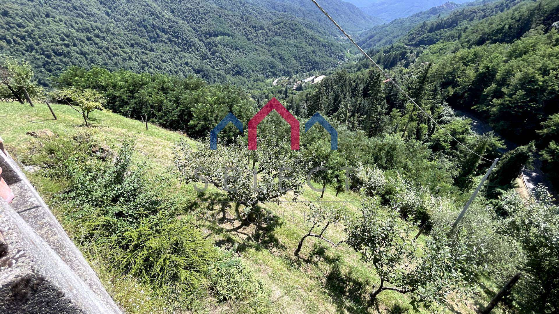  - foto 63