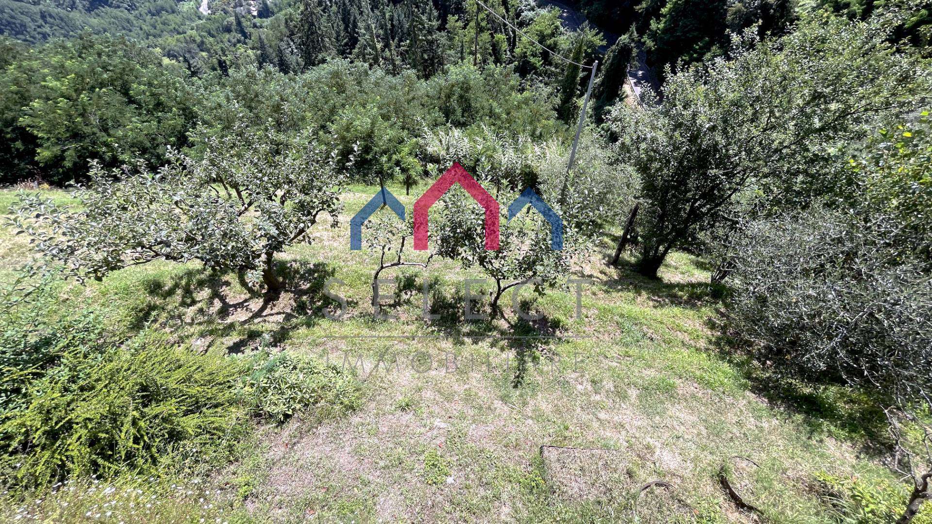  - foto 64