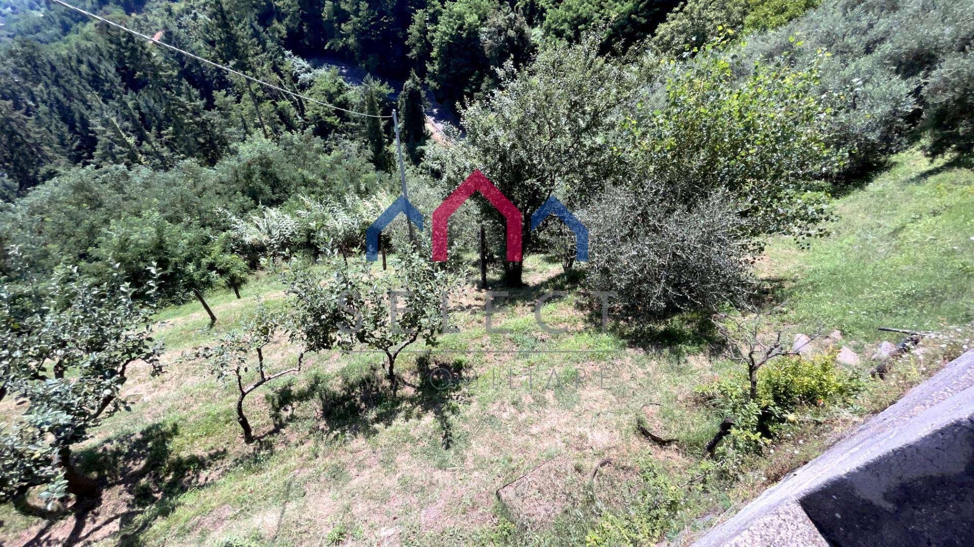  - foto 65