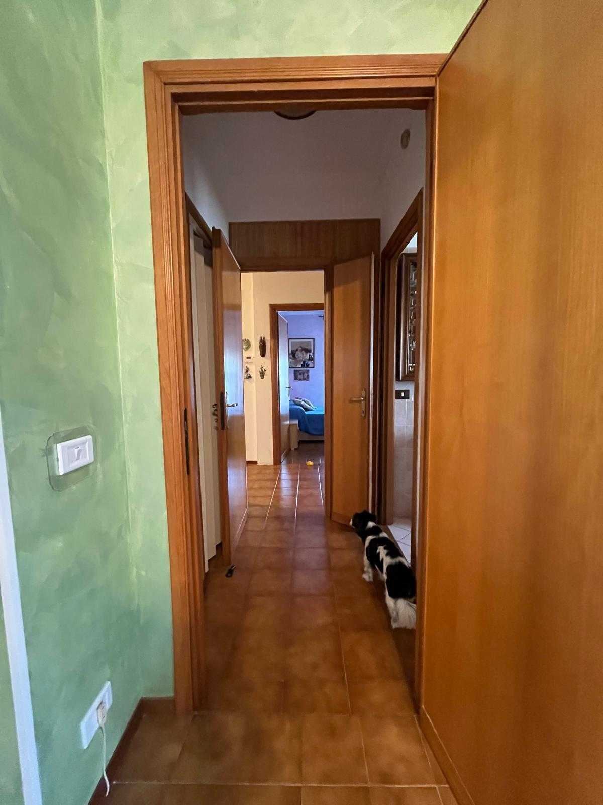  - foto 17