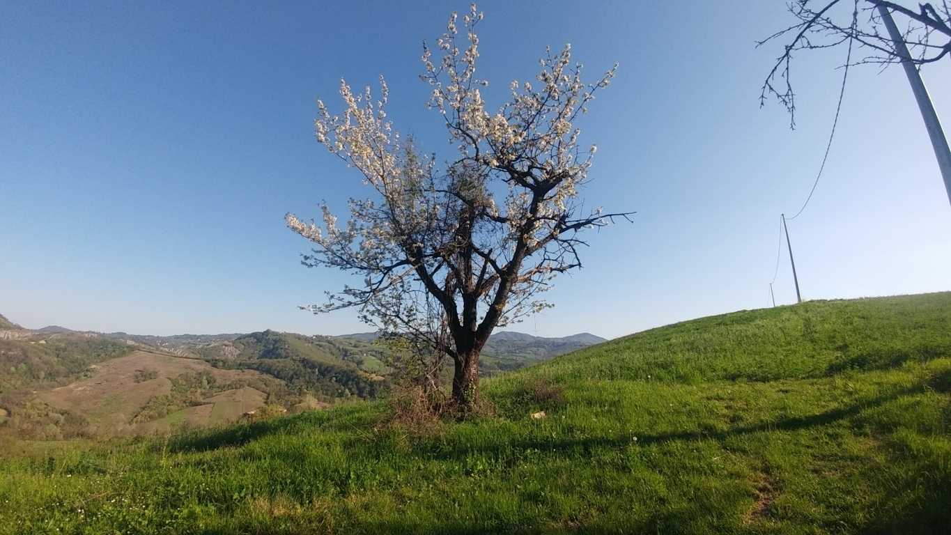  - foto 21