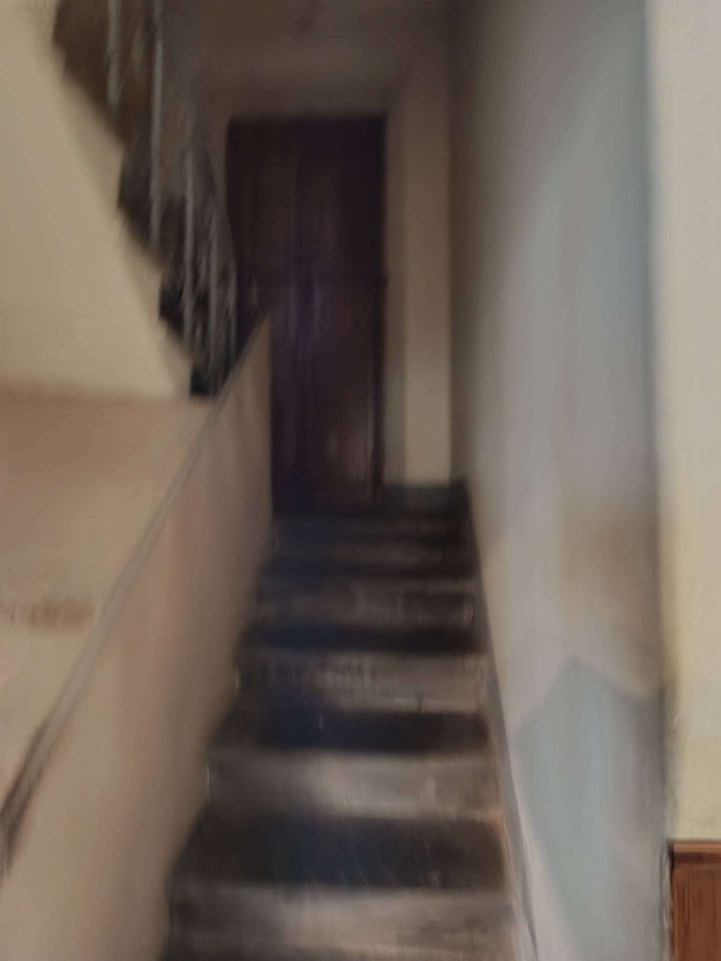  - foto 20