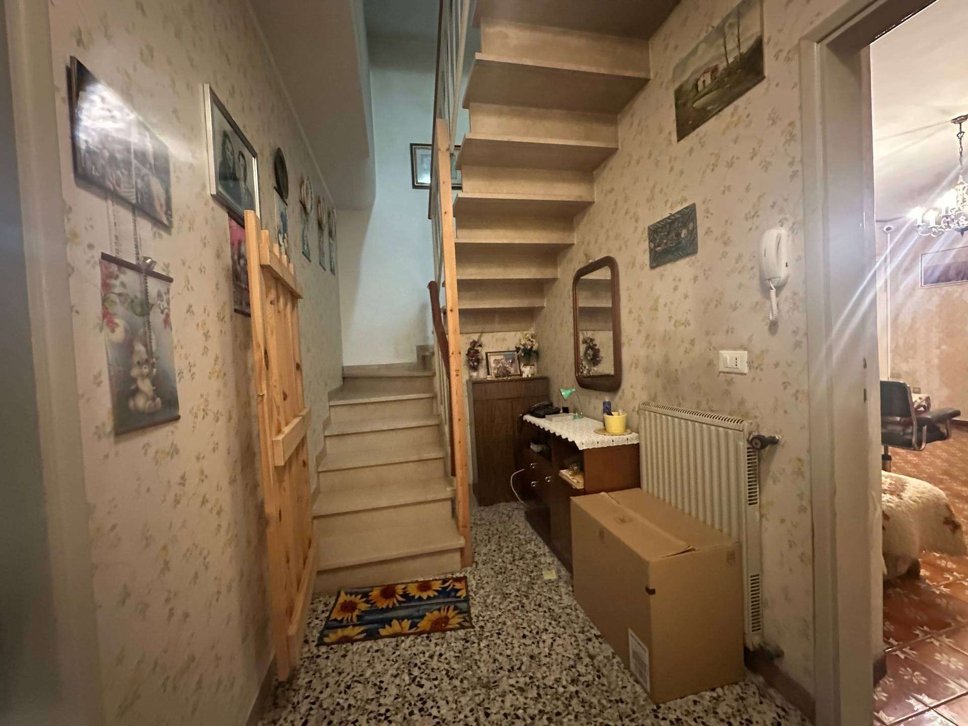  - foto 4