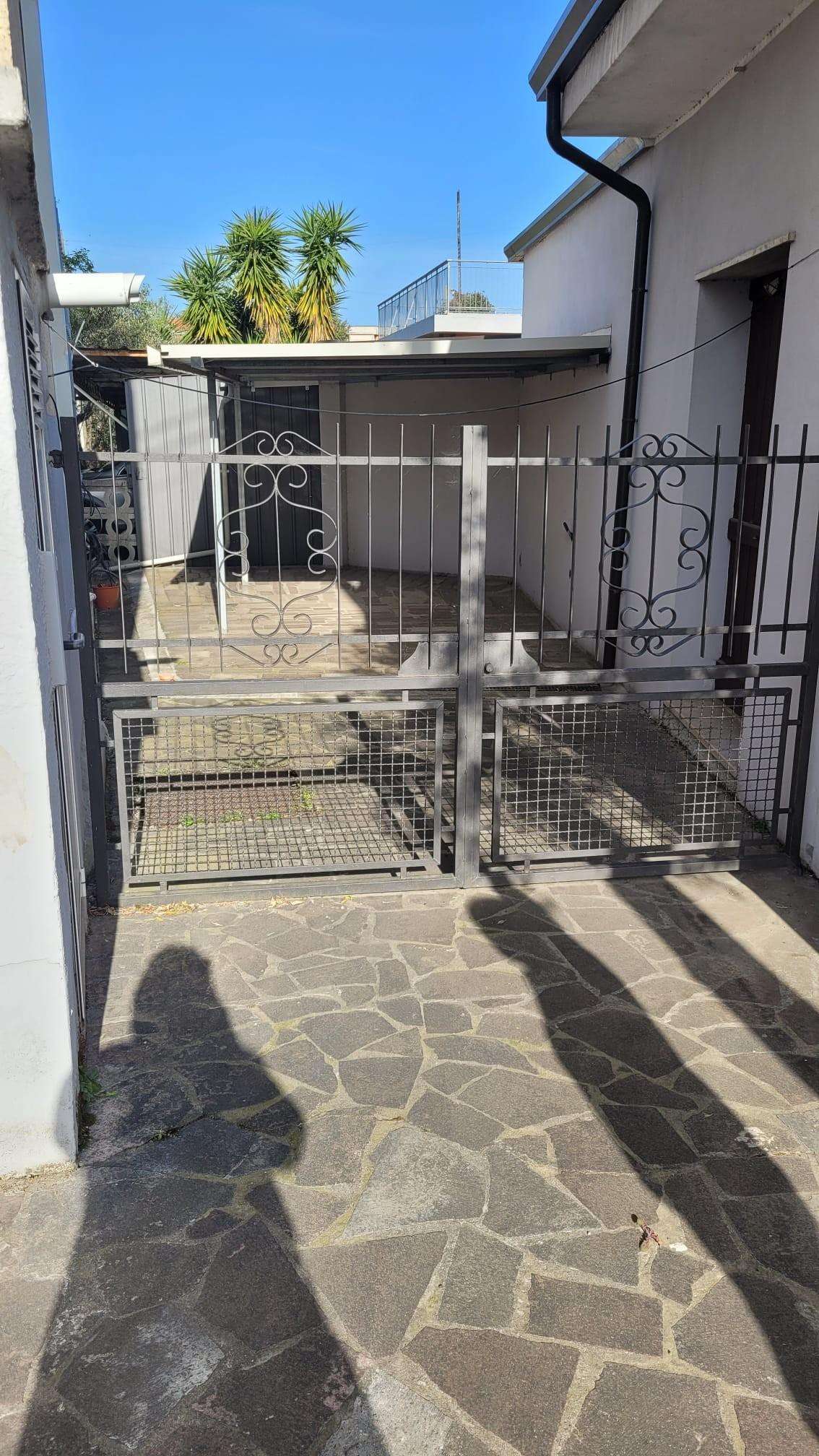  - foto 21