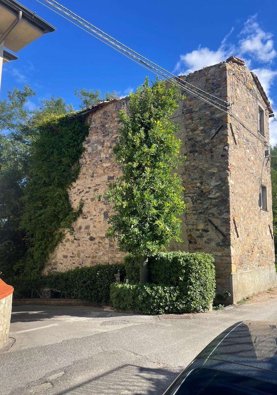 Palazzo - Stabile Via di Tiglio,, Capannori
