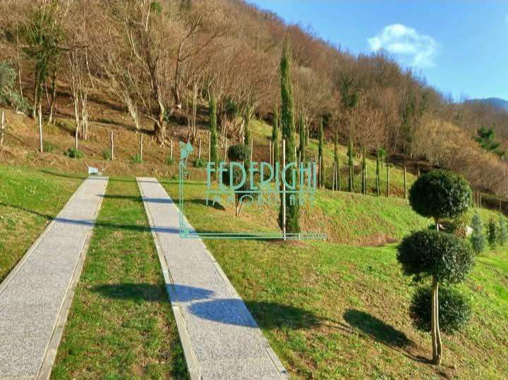  - foto 14