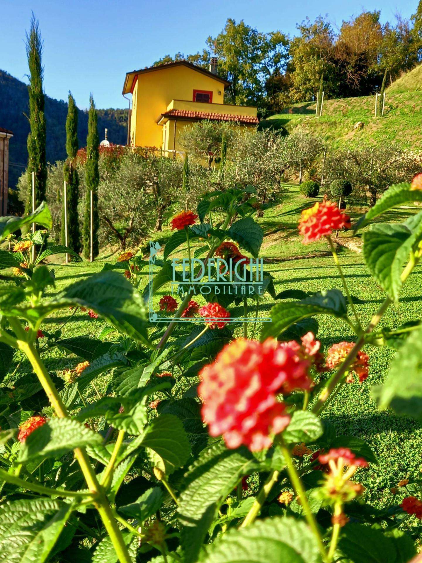  - foto 8