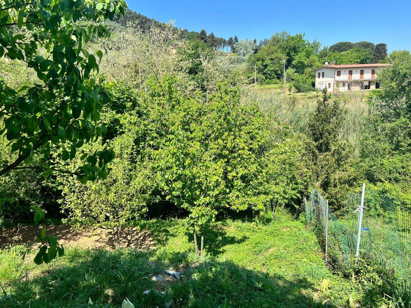  - foto 30