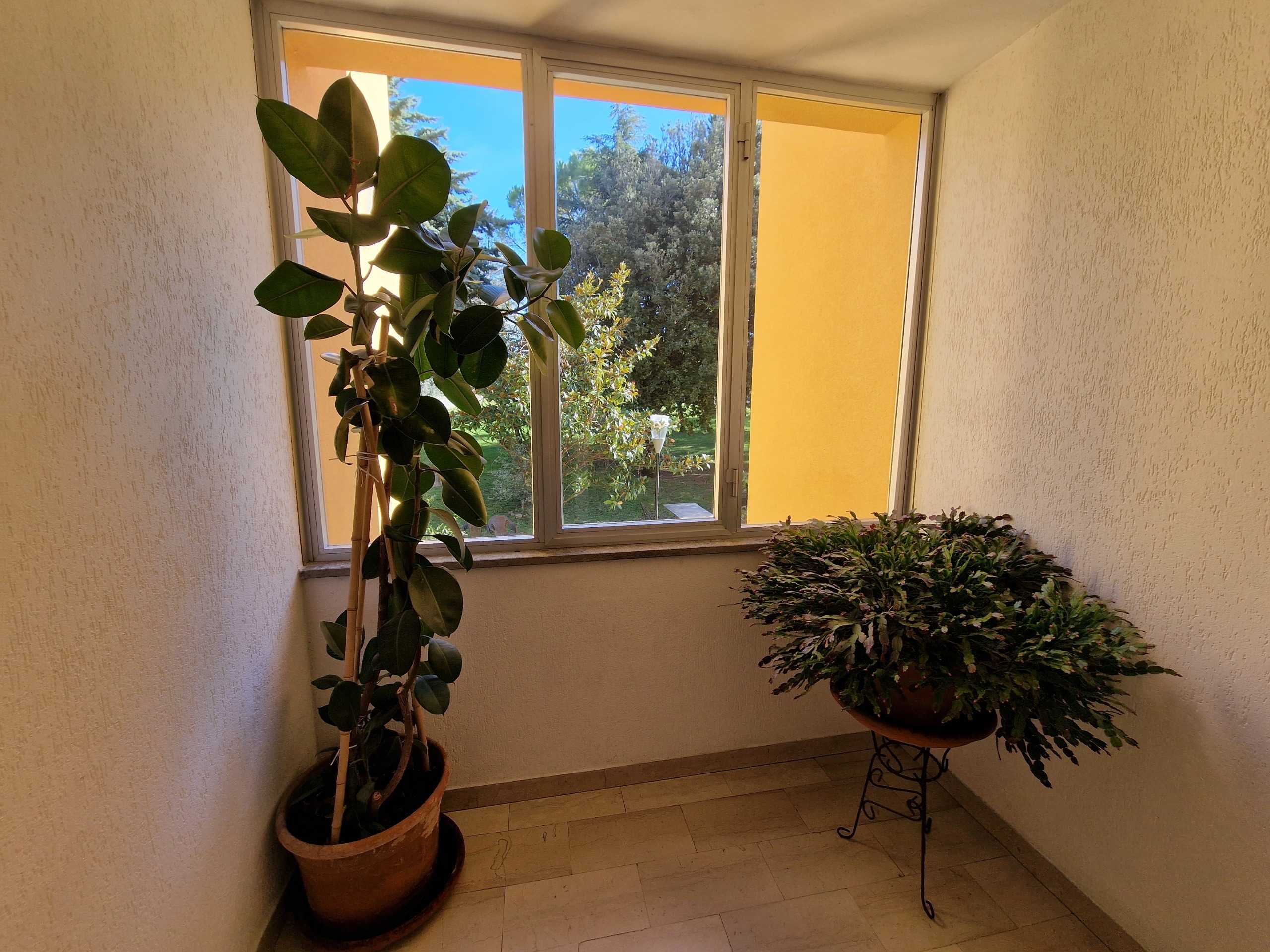  - foto 31