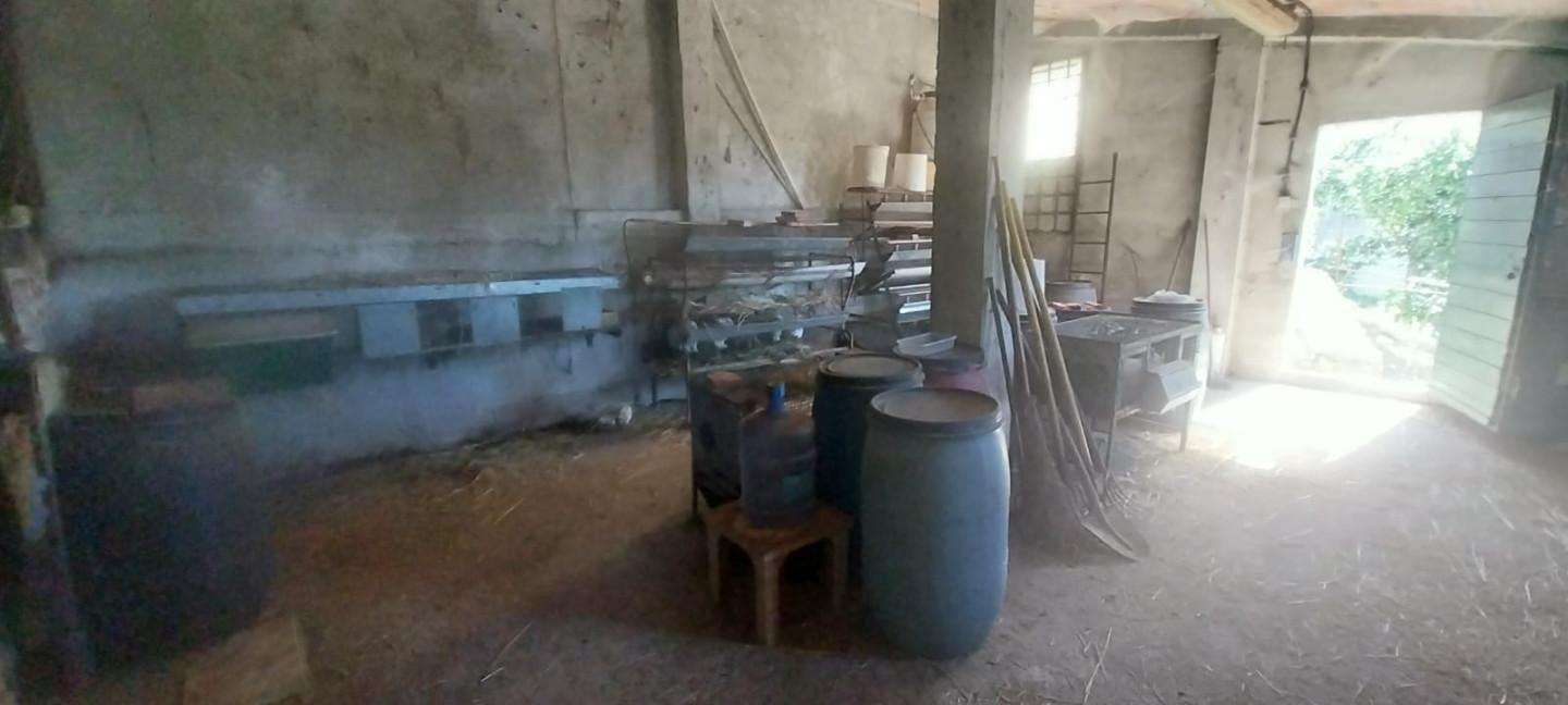  - foto 41