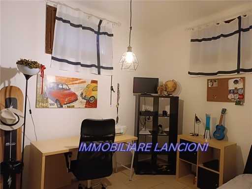  - foto 11