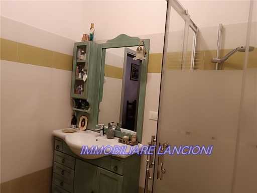  - foto 13