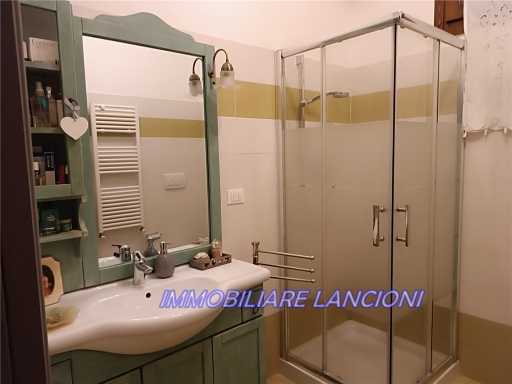 - foto 14