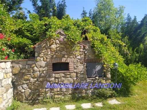  - foto 27