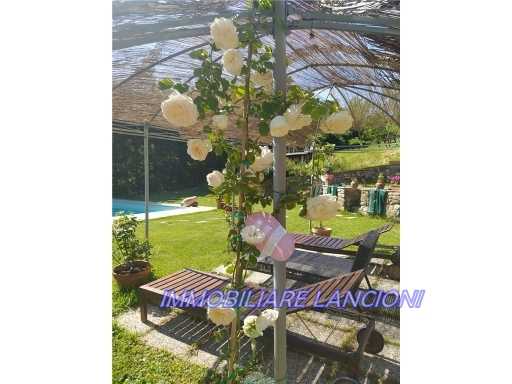  - foto 28