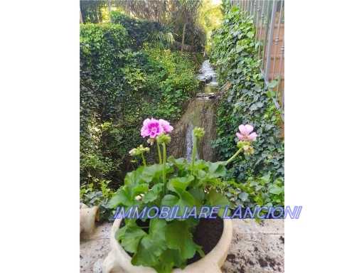  - foto 29