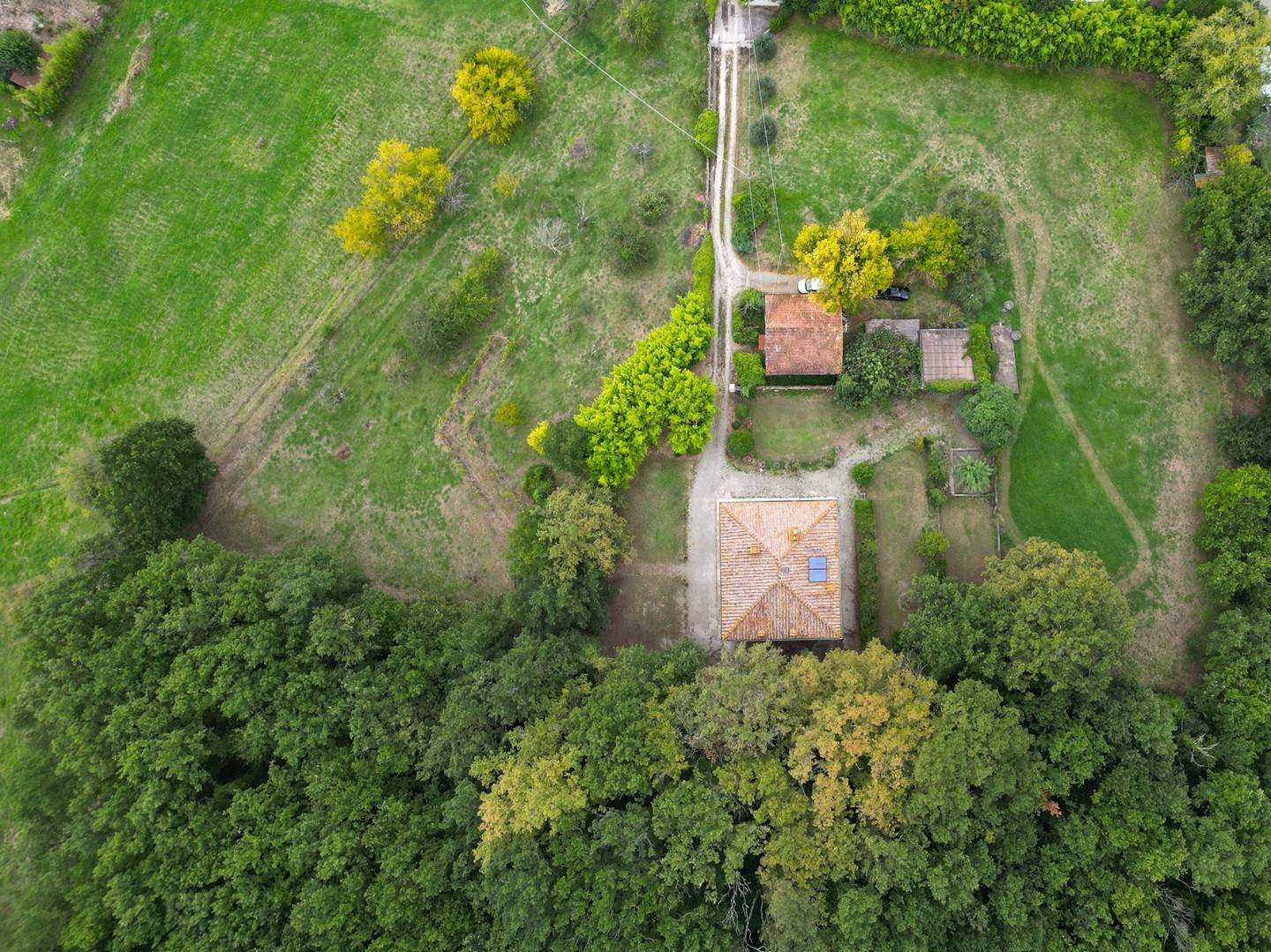  - foto 41