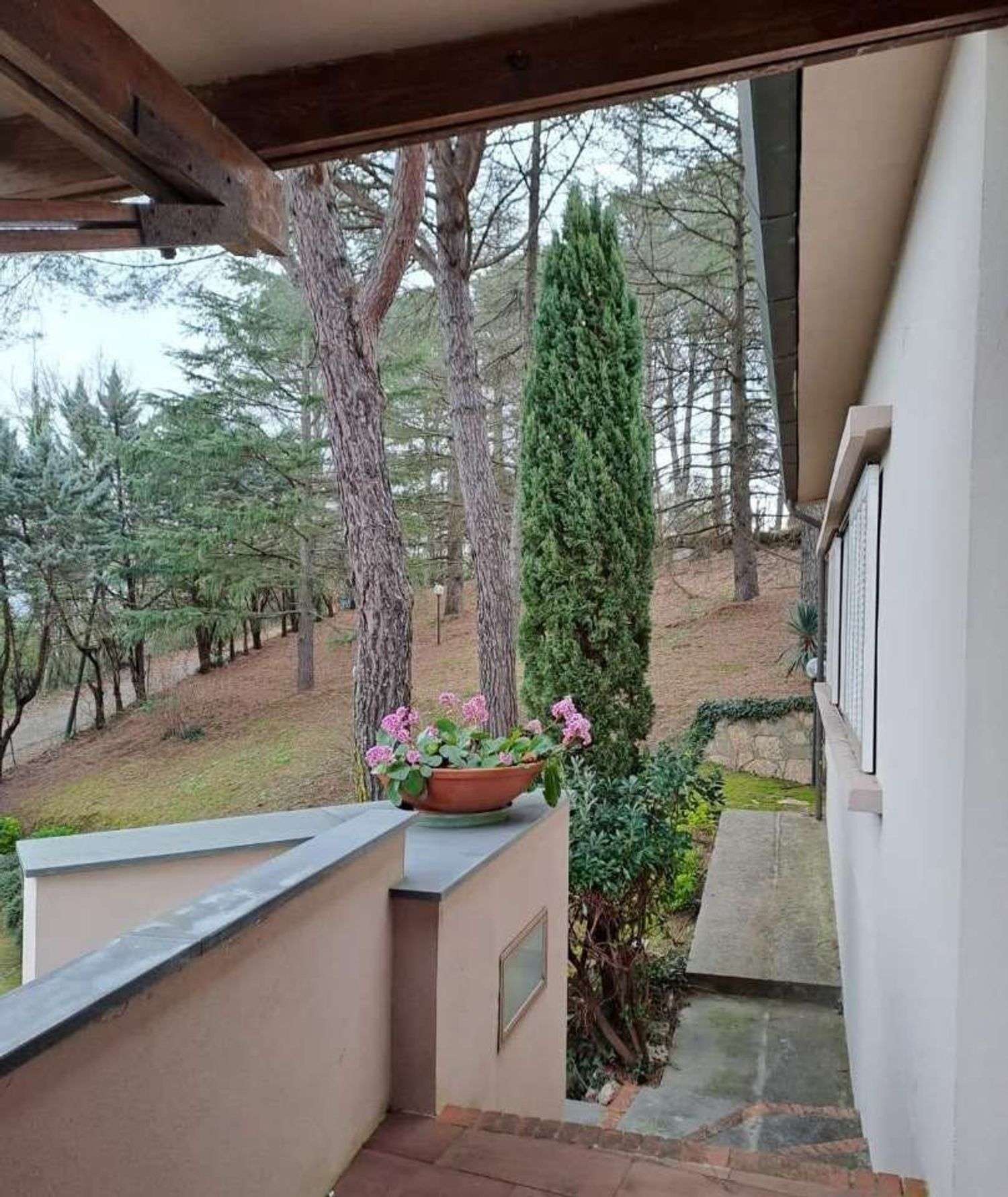  - foto 6