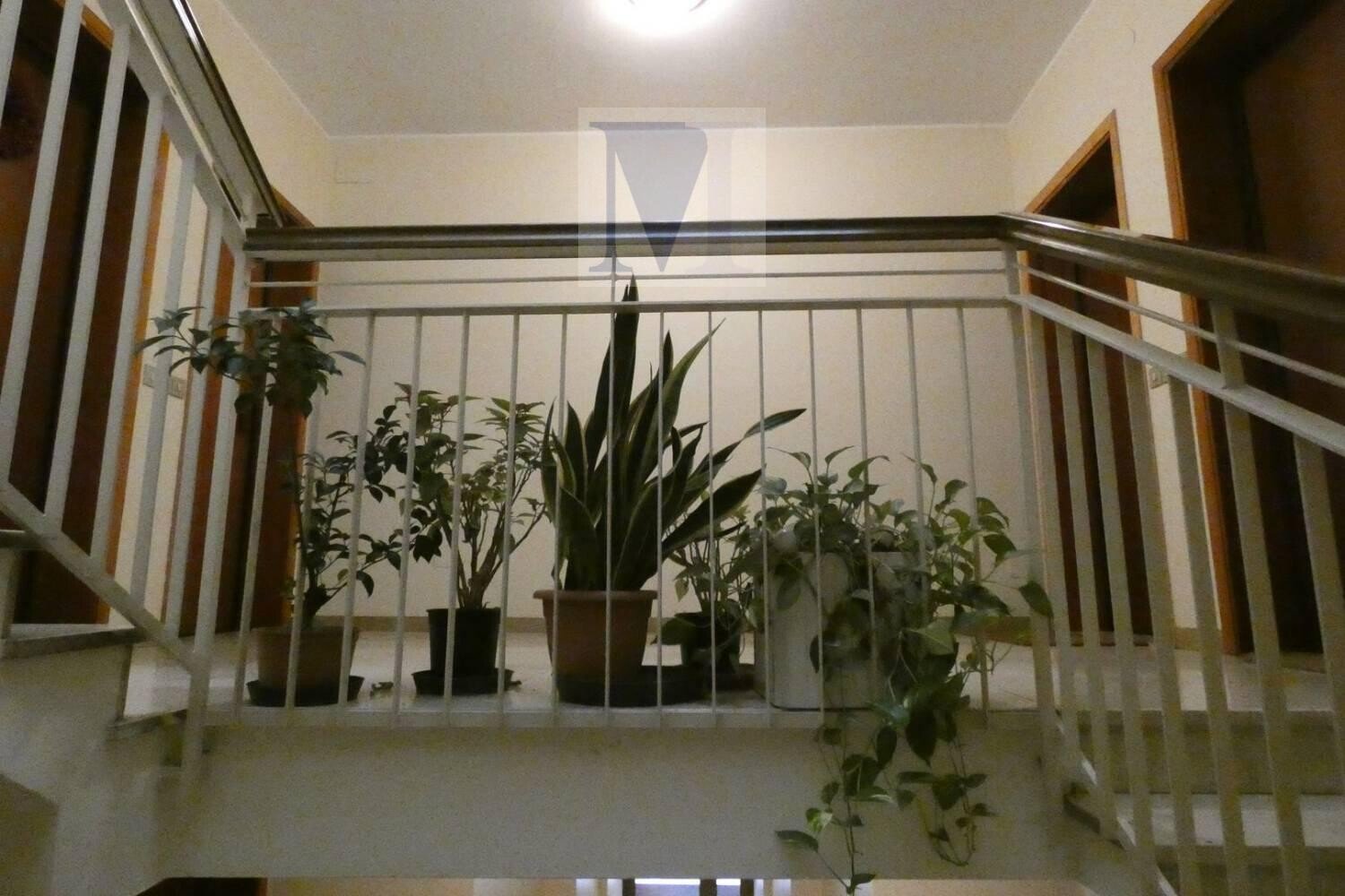  - foto 19