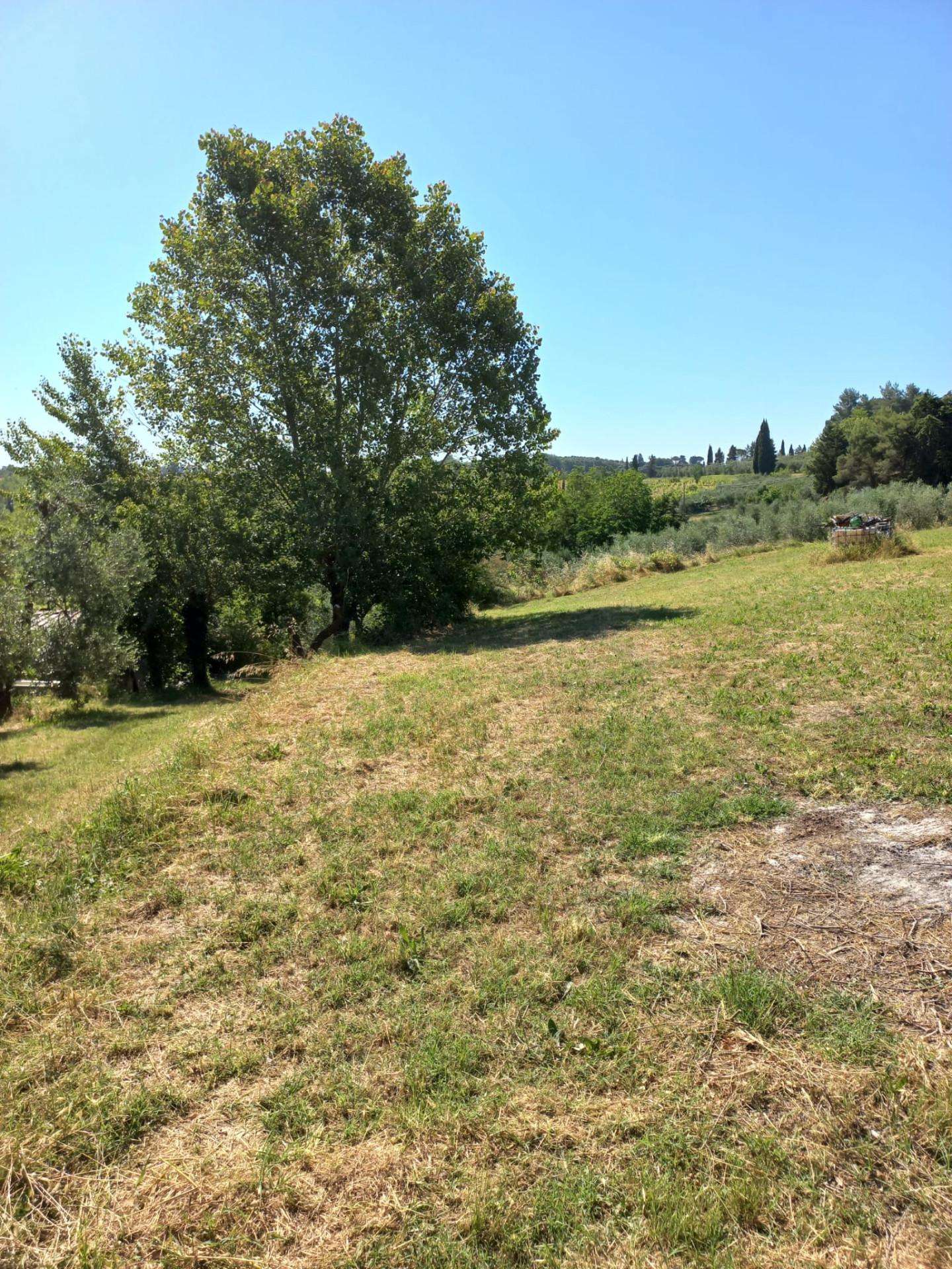  - foto 12