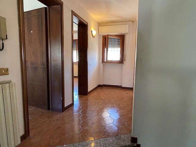  - foto 11