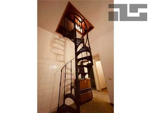  - foto 11