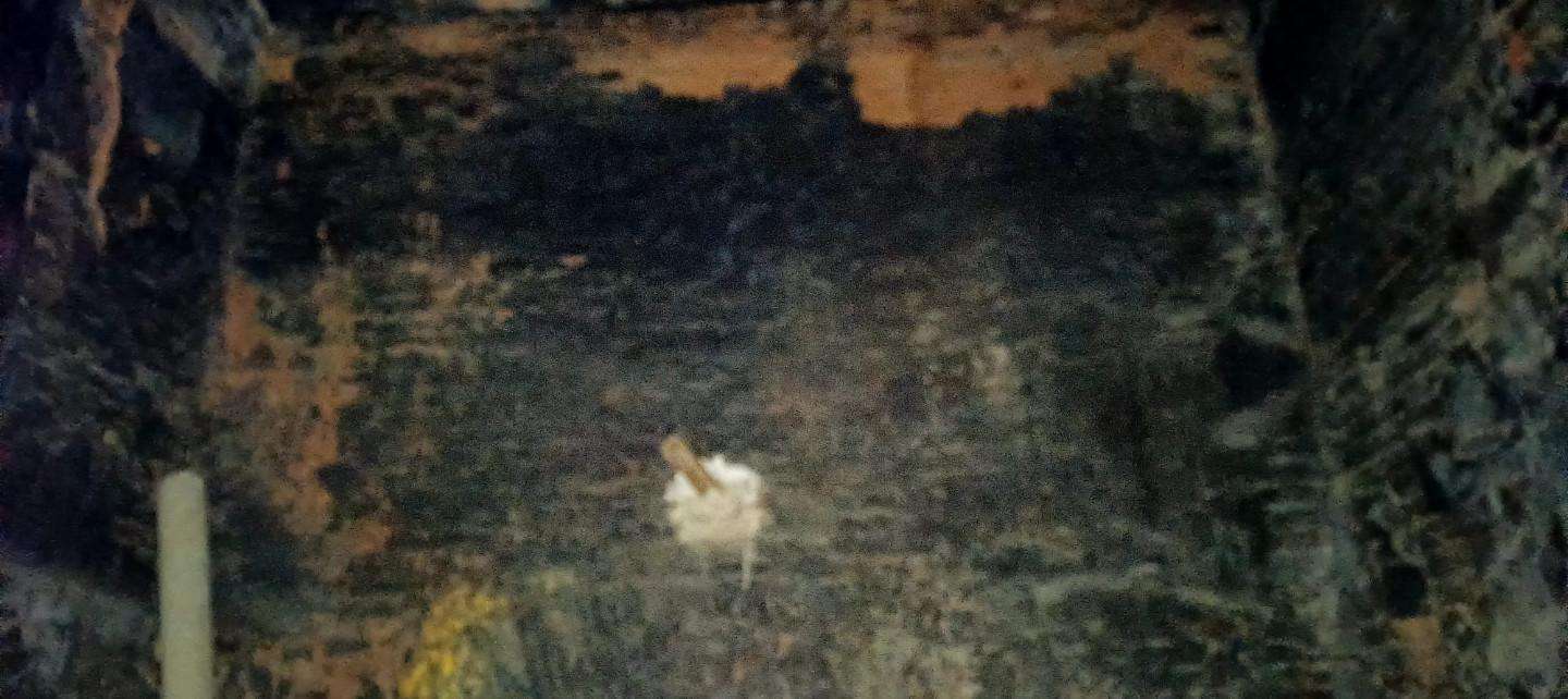  - foto 25