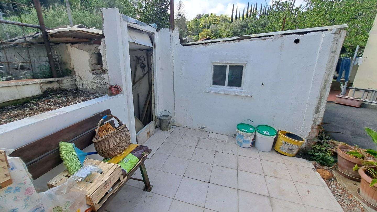  - foto 21