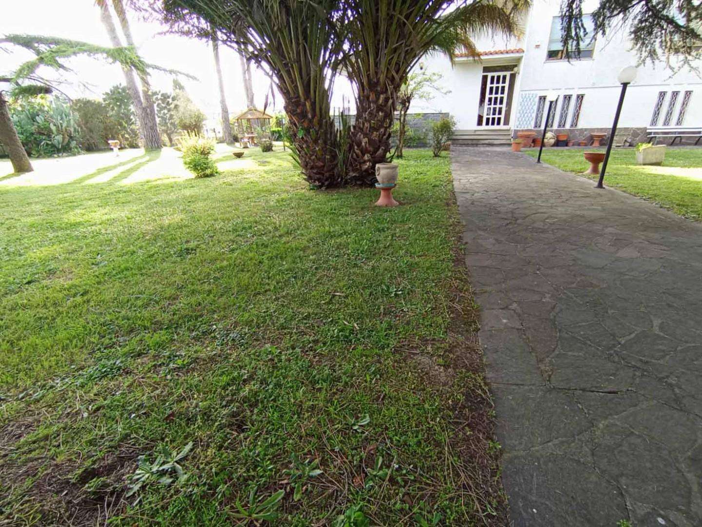  - foto 18