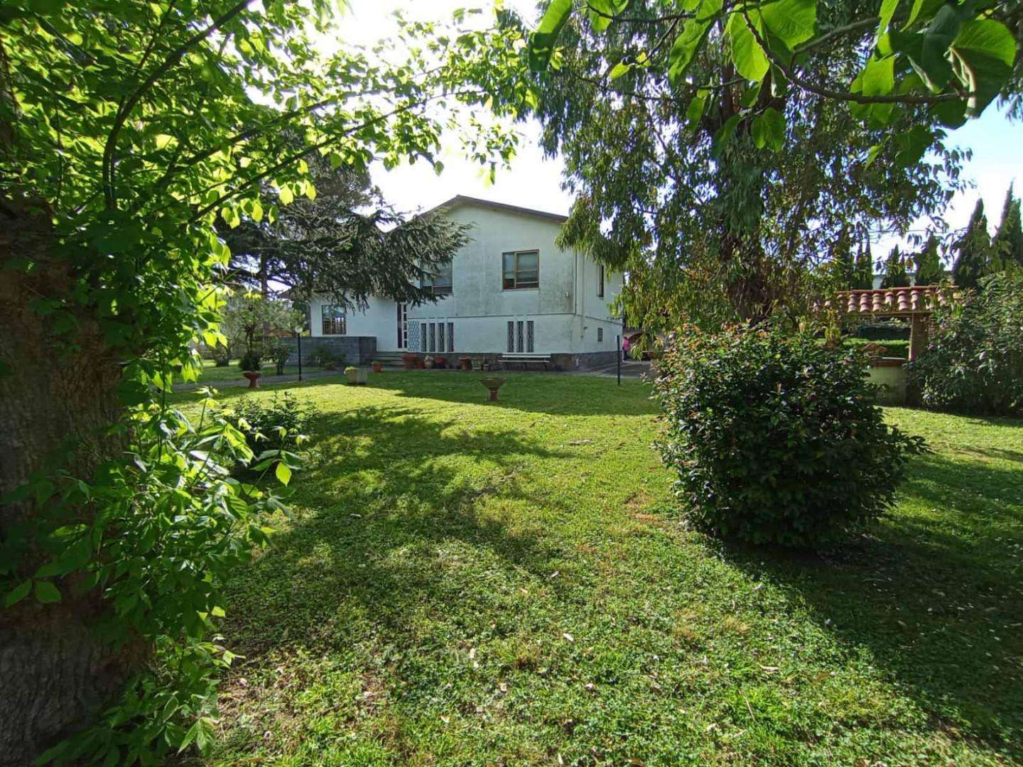  - foto 23