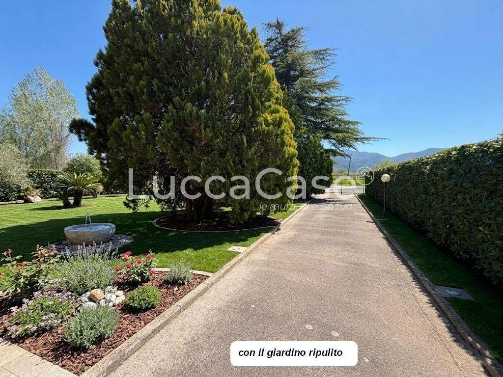  - foto 14