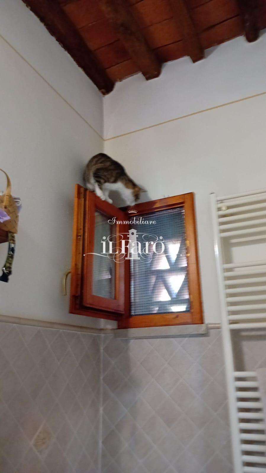  - foto 16
