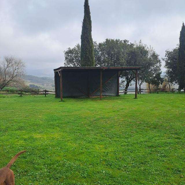 - foto 6
