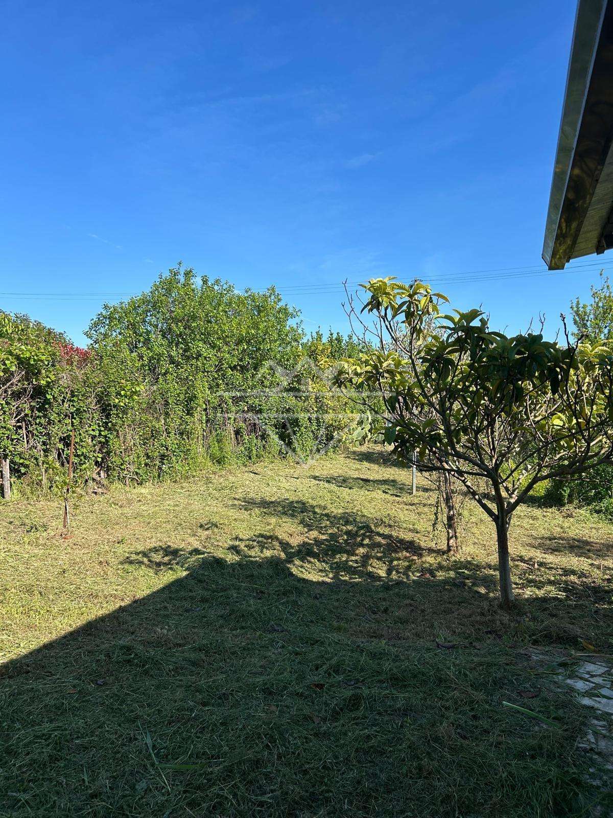  - foto 6