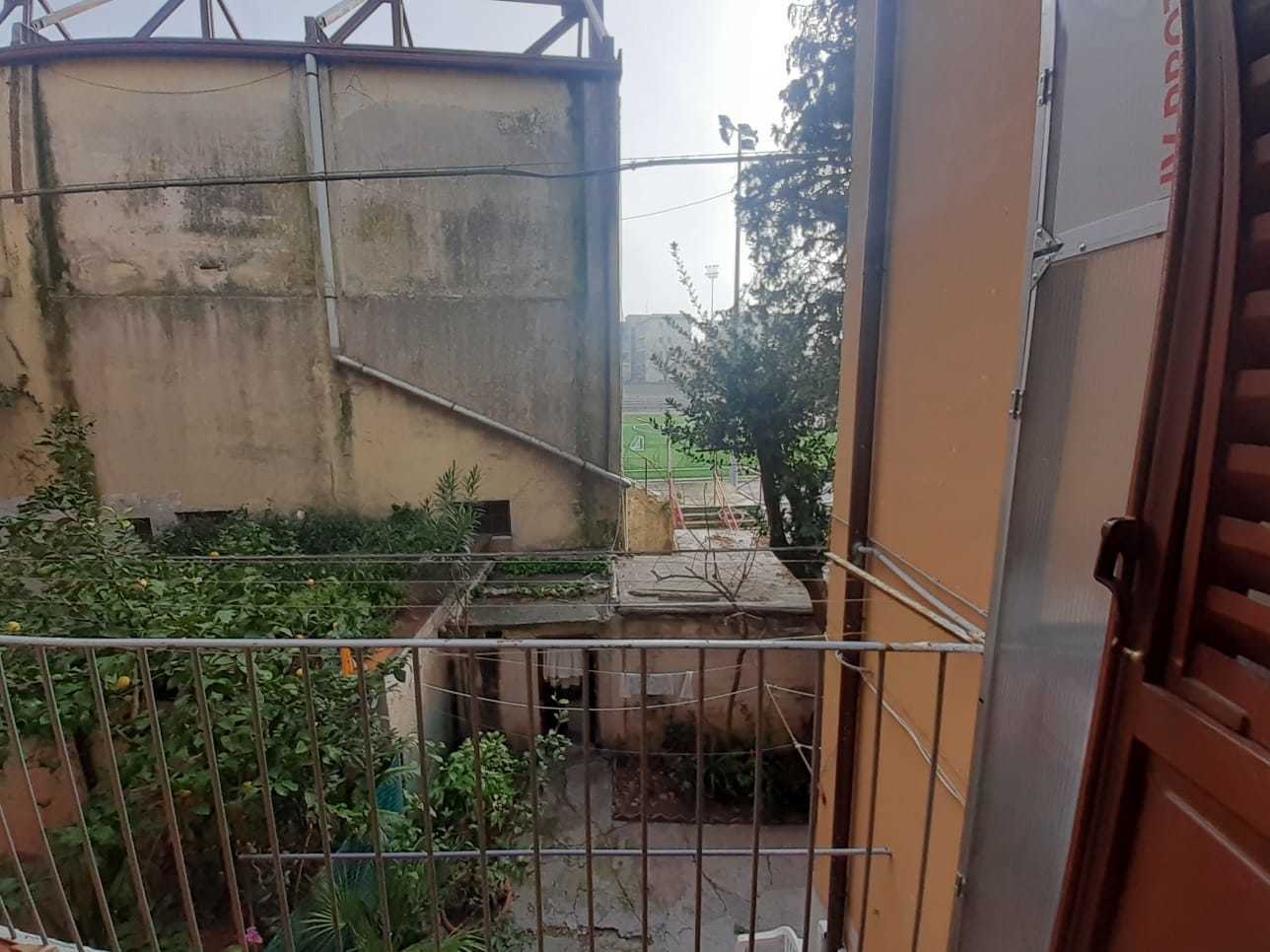  - foto 31