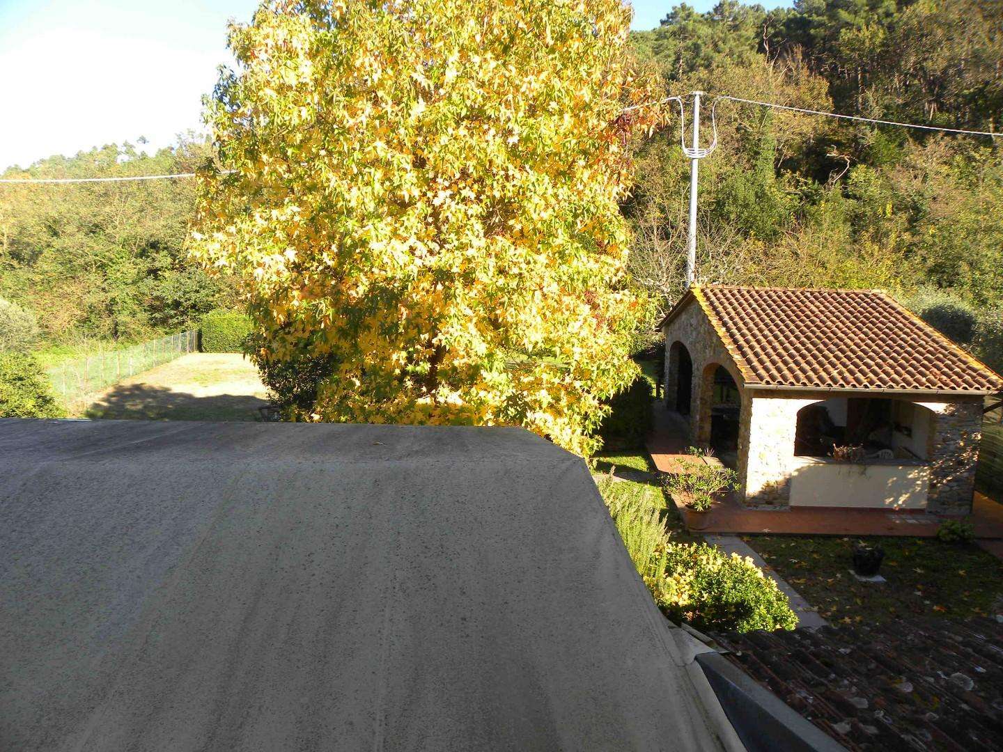  - foto 24