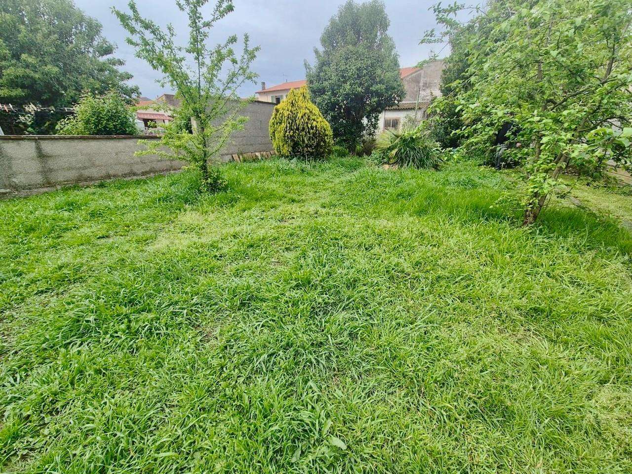  - foto 12